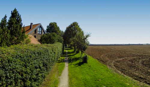 Vettweiss